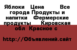 Яблоки › Цена ­ 28 - Все города Продукты и напитки » Фермерские продукты   . Кировская обл.,Красное с.